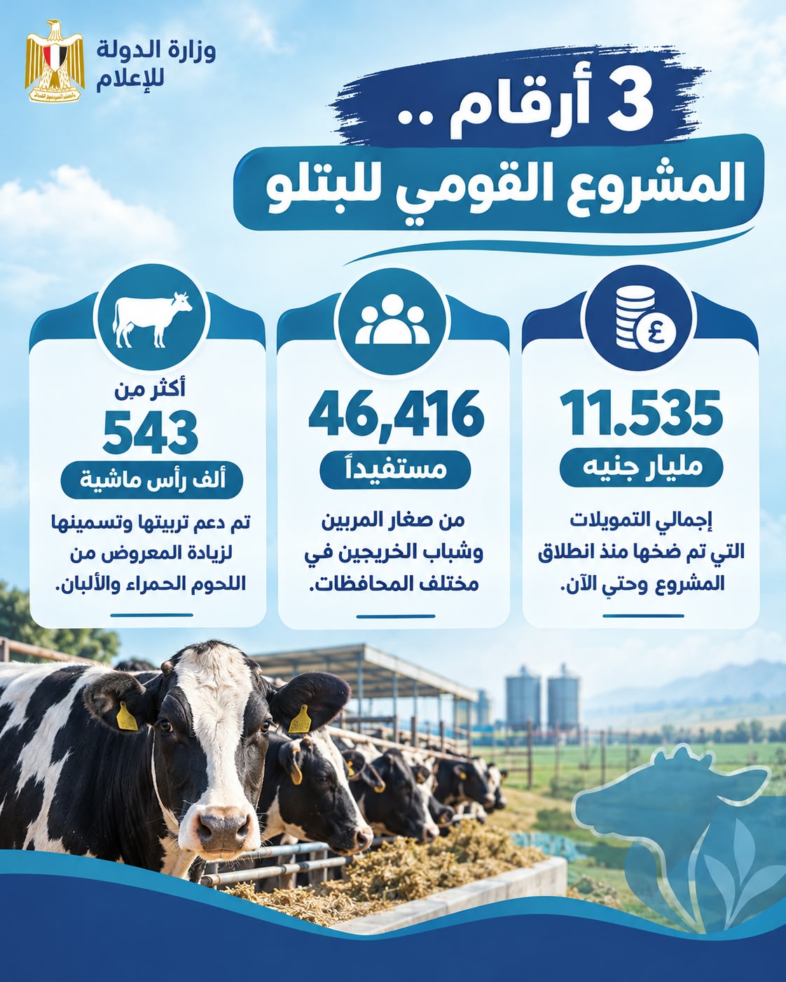 بـ 11.5 مليار جنيه.. كيف يدعم "القومي للبتلو" صغار المربين ويوفر اللحوم ؟